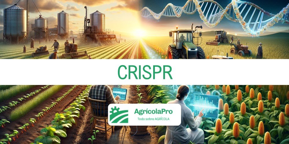 El impacto de CRISPR en el desarrollo agrícola