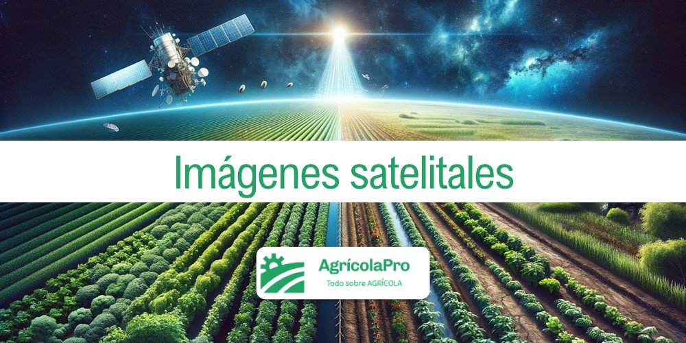 La importancia de las imágenes satelitales en el agro