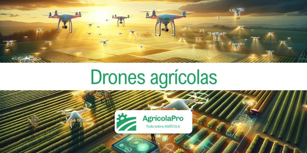 La importancia de los drones en el agro