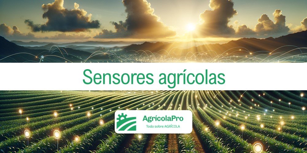 La importancia de los sensores en el agro