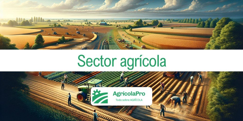 Contenido: ¿Qué es el sector agrícola?