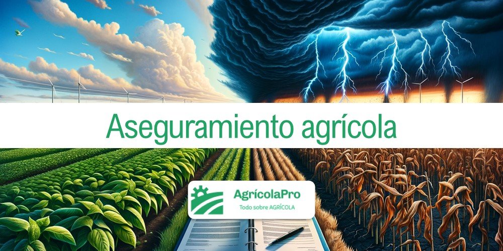 Contenido: ¿Qué implica el aseguramiento agrícola?